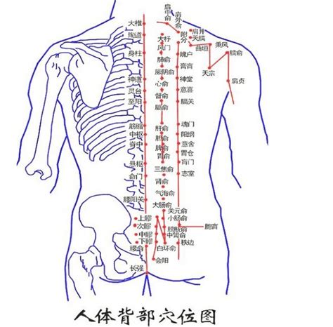 田宅多進痣|圖解背部6大經典痣的位置及寓意